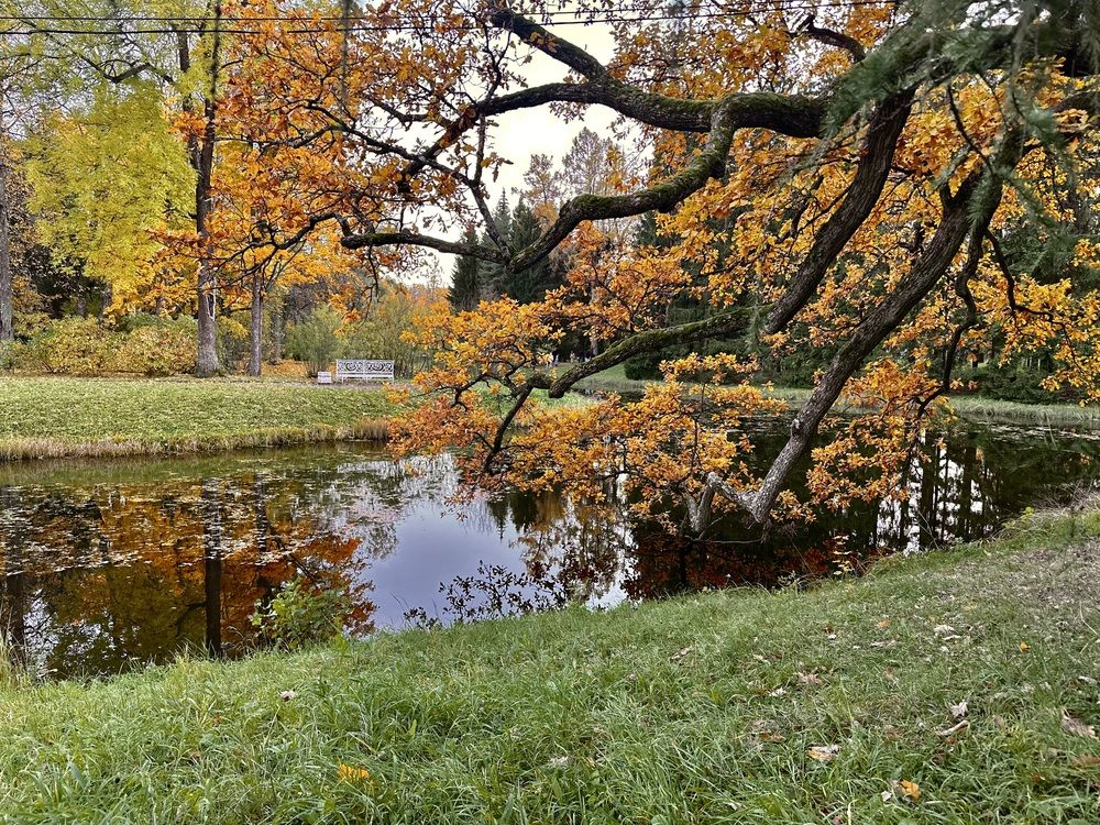 Photograph by Марина Дервиз