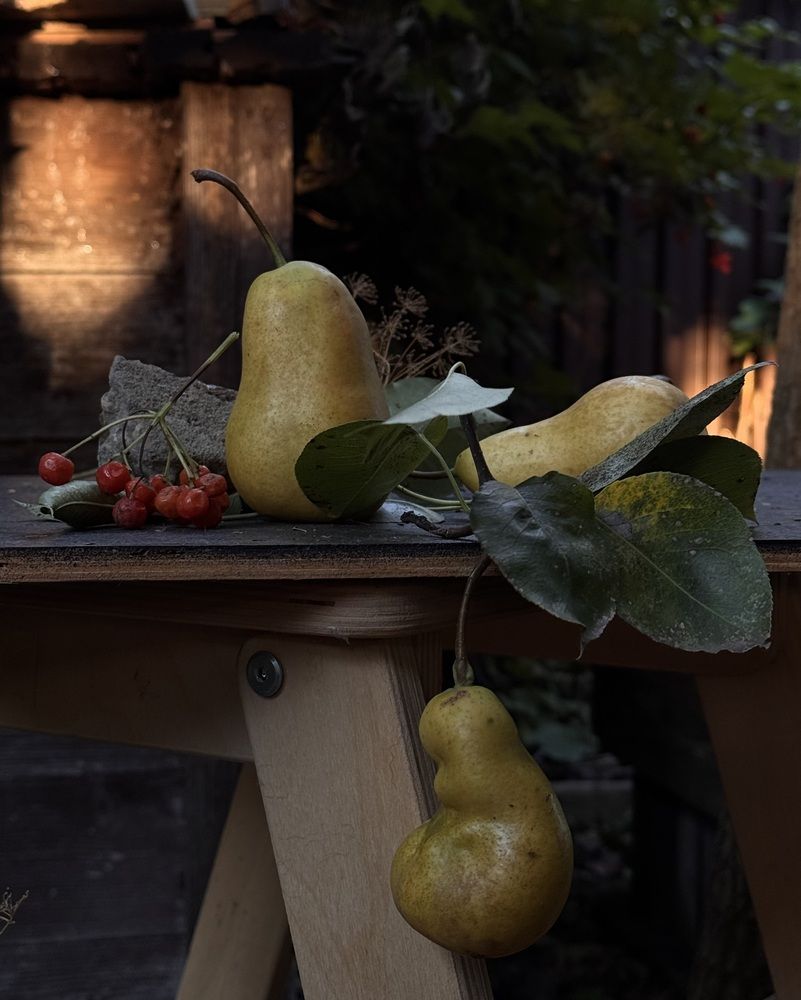 Photograph by Анастасия Денисенко