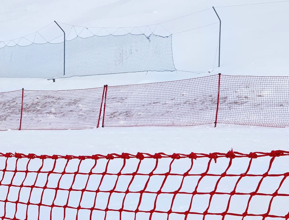 Photograph by Ионова Татьяна