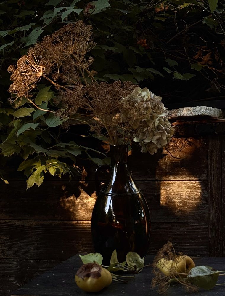 Photograph by Анастасия Денисенко