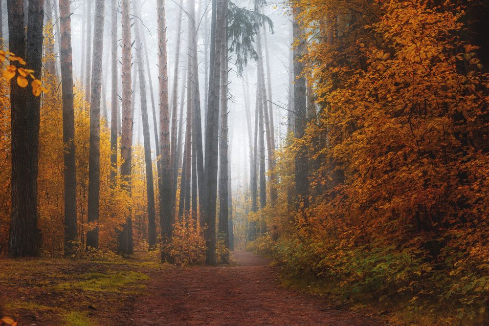 Photograph by Елена Соколова