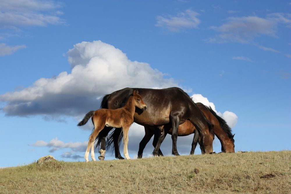 Рядом с облаками