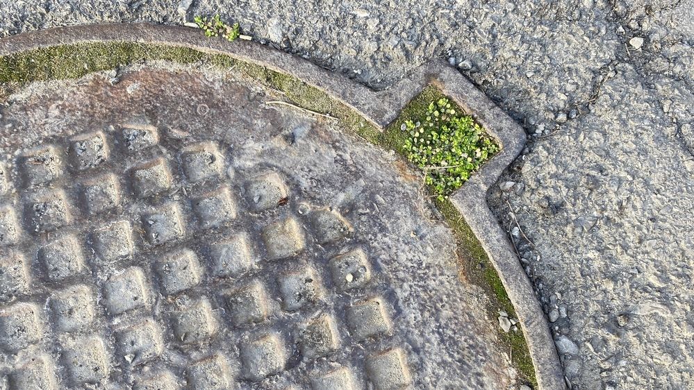 Photograph by Сергей Смирнов