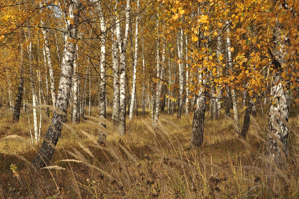 Photograph by Cергей Абакумов