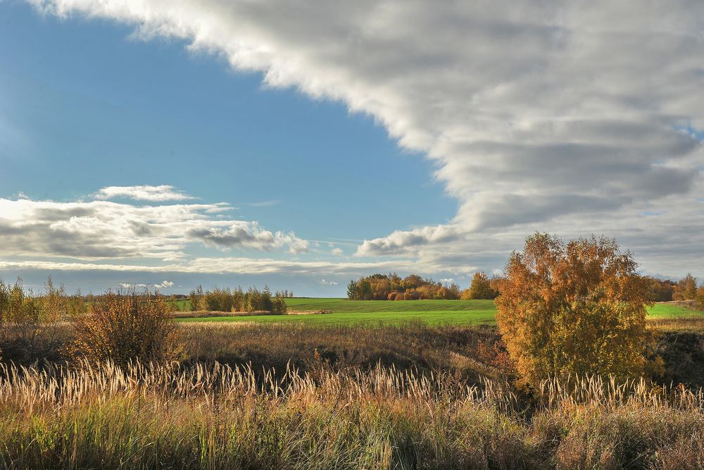 Photograph by Cергей Абакумов