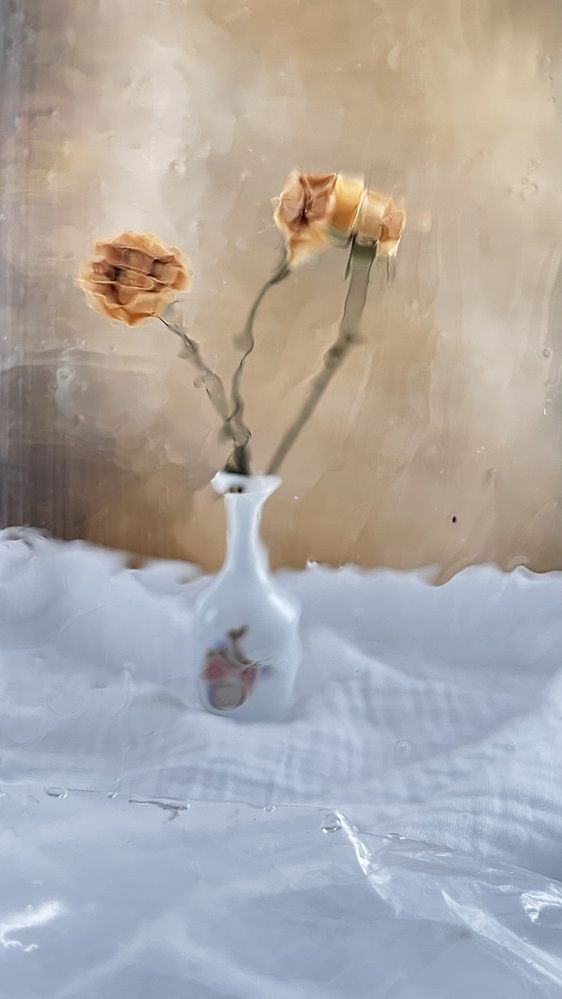 Photograph by Татьяна