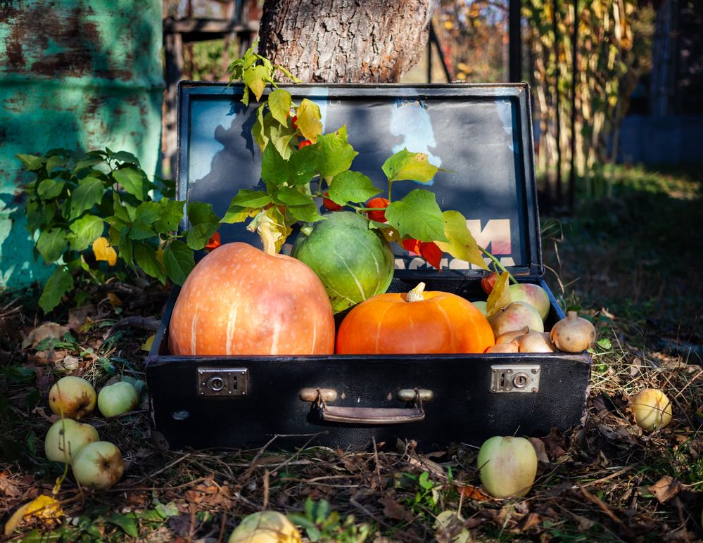 Photograph by Ирина Нестерова