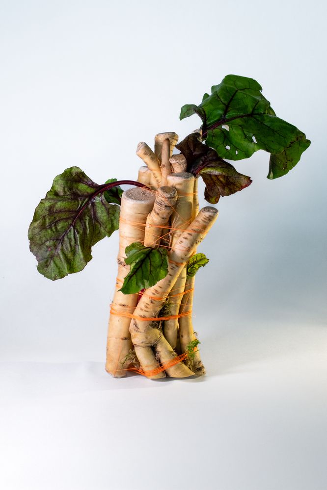 Photograph by Стоянова-Тимбукту Мария