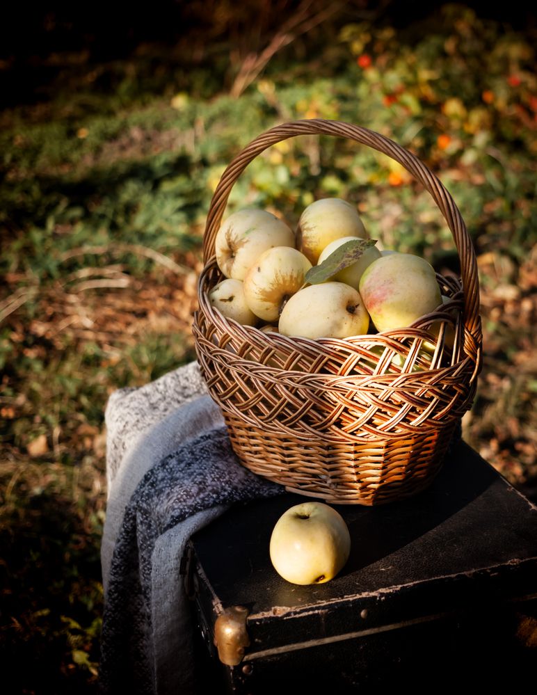 Photograph by Ирина Нестерова