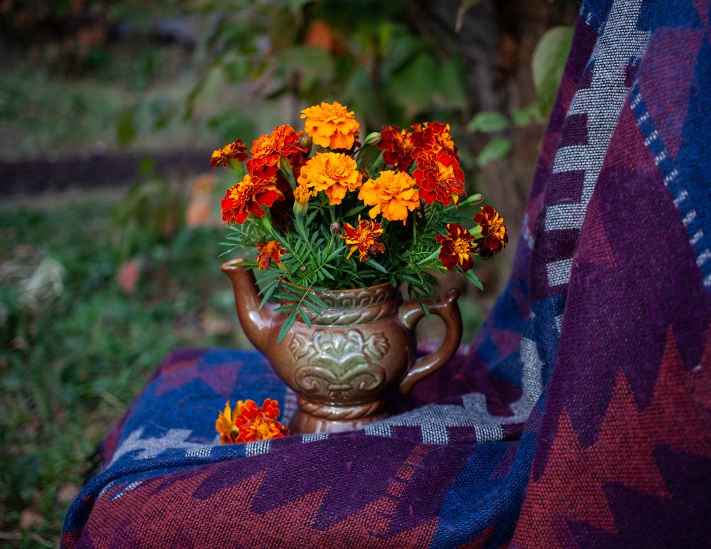 Photograph by Ирина Нестерова