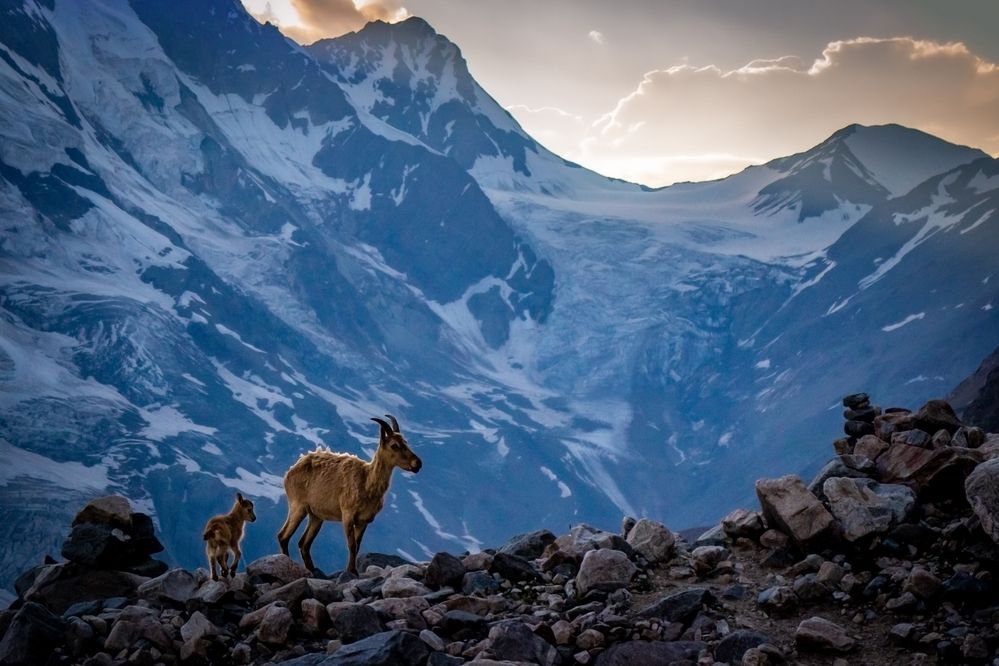 Photograph by Никита Костылёв