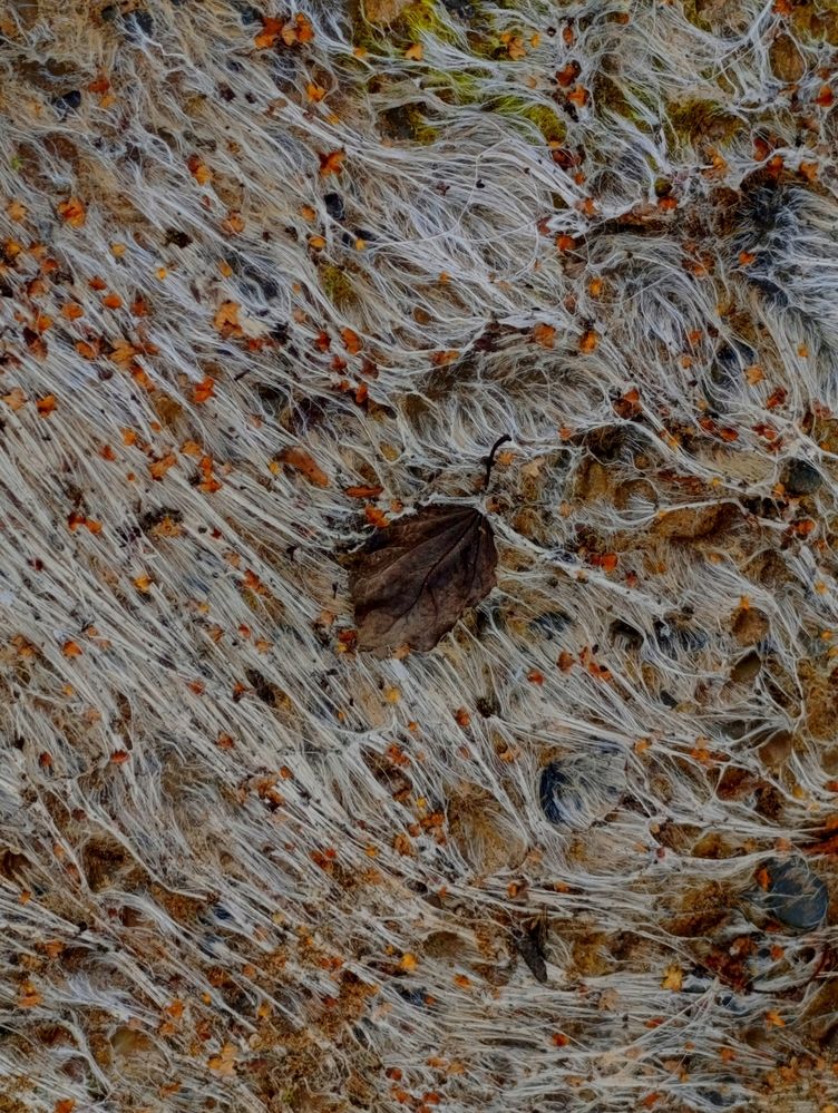 Photograph by Любовь Иванова