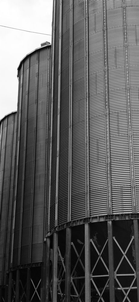 Фотография автора Максим Светличный