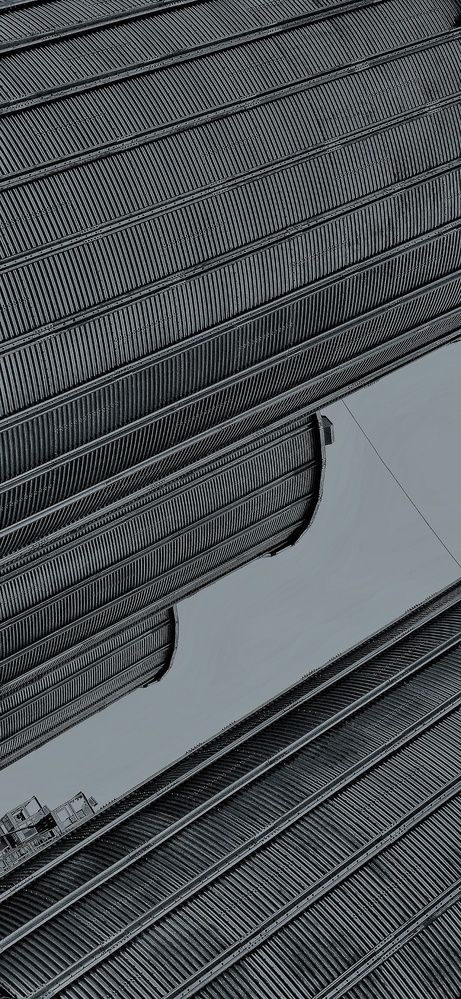 Фотография автора Максим Светличный