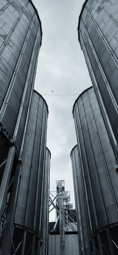 Фотография автора Максим Светличный