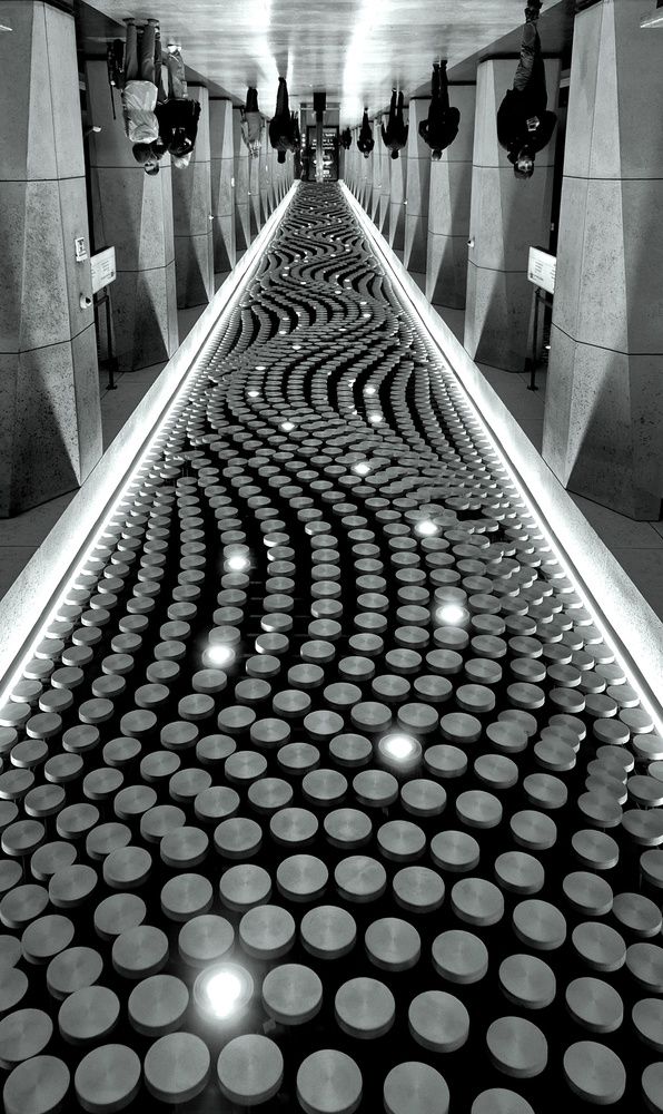 Photograph by Яна Галимуллина