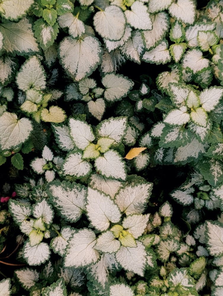 Photograph by Любовь Иванова