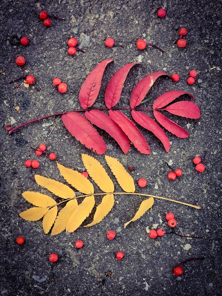 Photograph by Сергей Кесаев