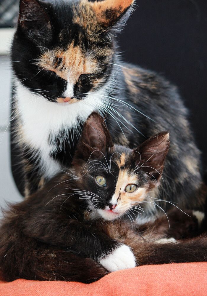 Photograph by Елена Сиднина