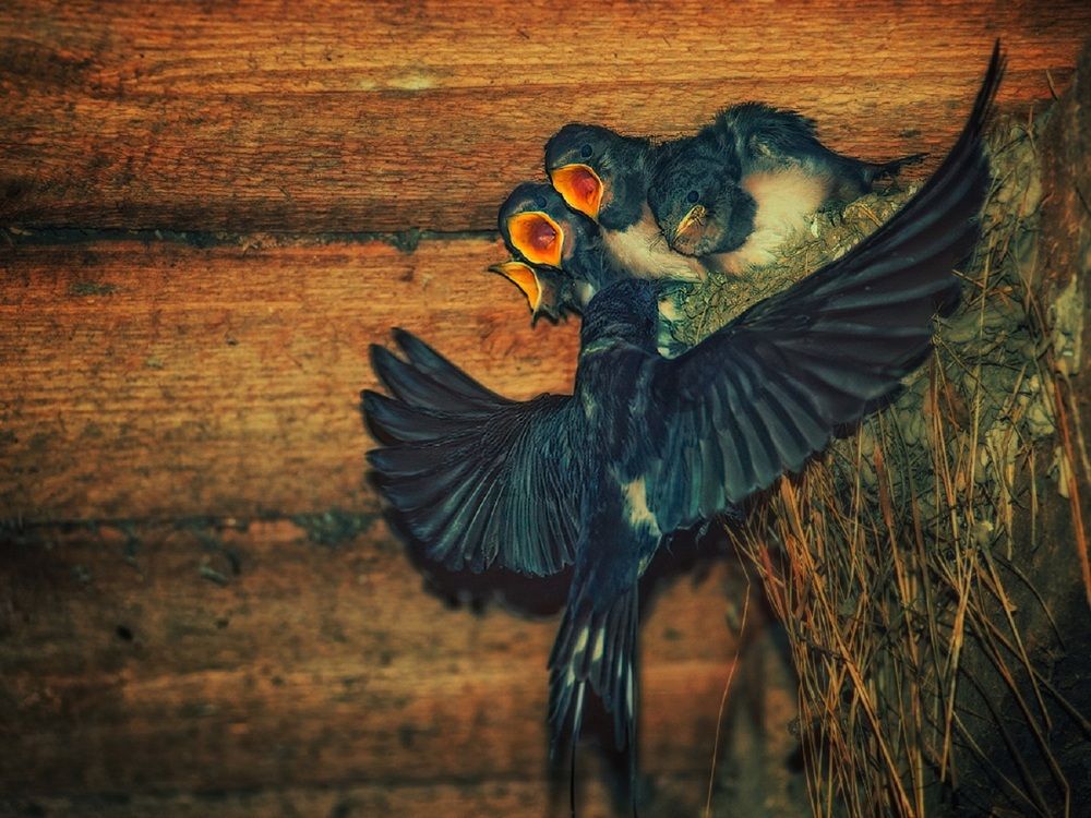 Photograph by Владимир