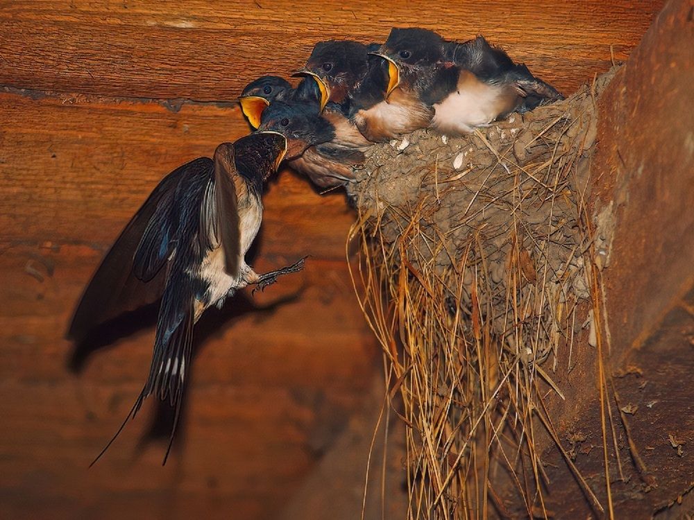 Photograph by Владимир