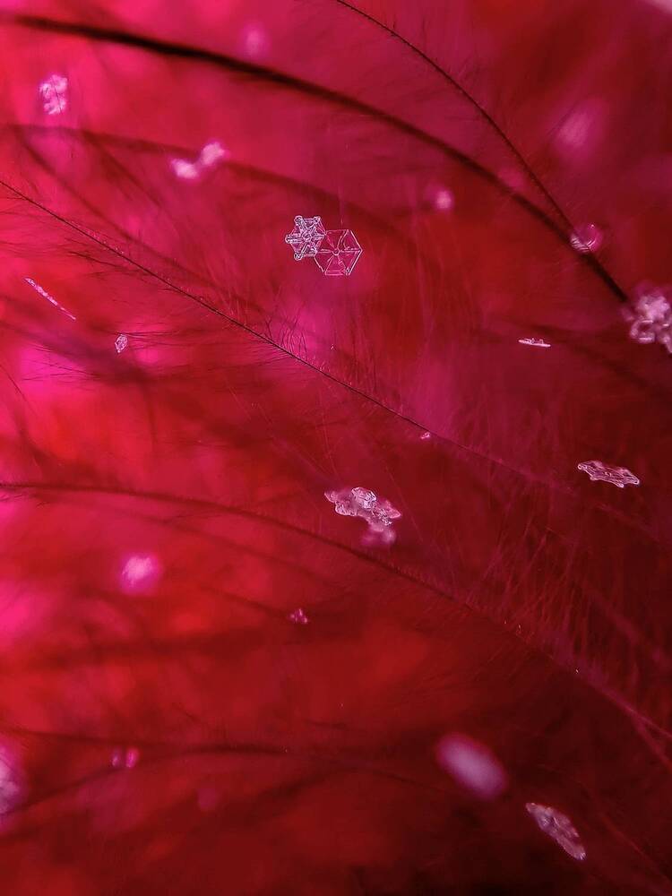 Photograph by Лариса Когтева