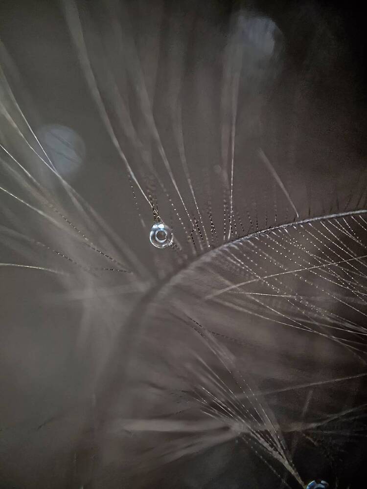 Photograph by Лариса Когтева