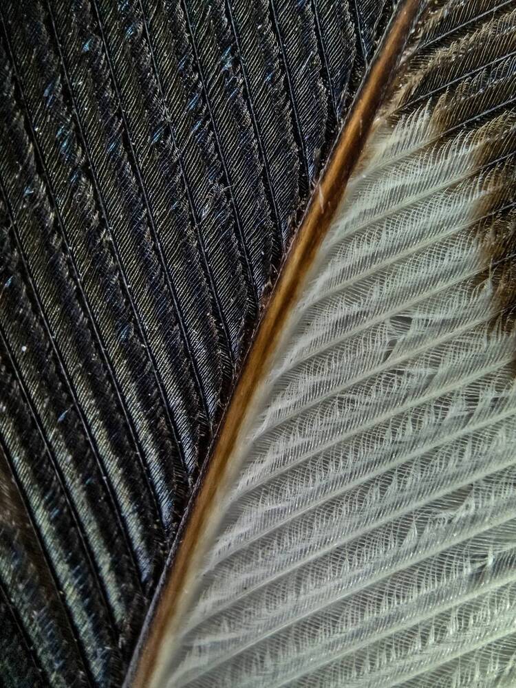 Photograph by Лариса Когтева