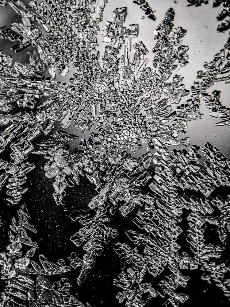 Photograph by Лариса Когтева