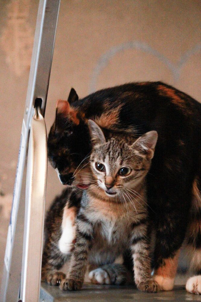 Photograph by Елена Сиднина