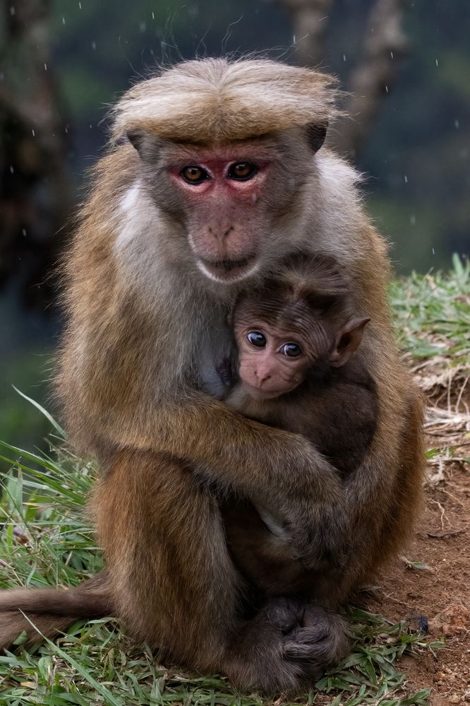 Photograph by Shehan Dondeenu