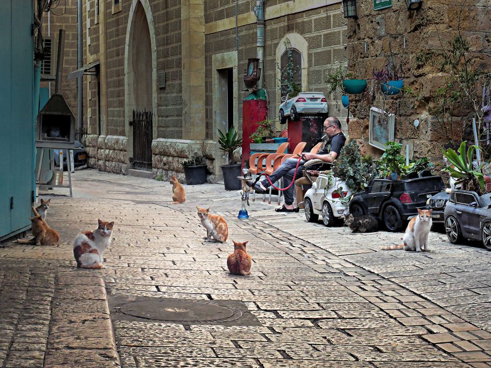 Photograph by Lev Tsenter