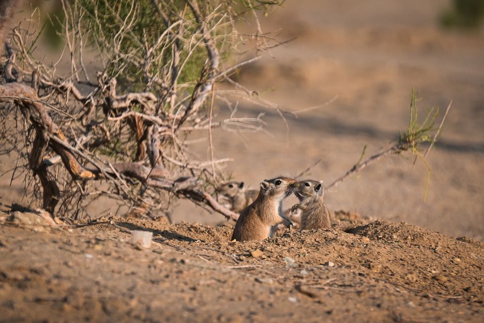 Photograph by Фоменко Артем