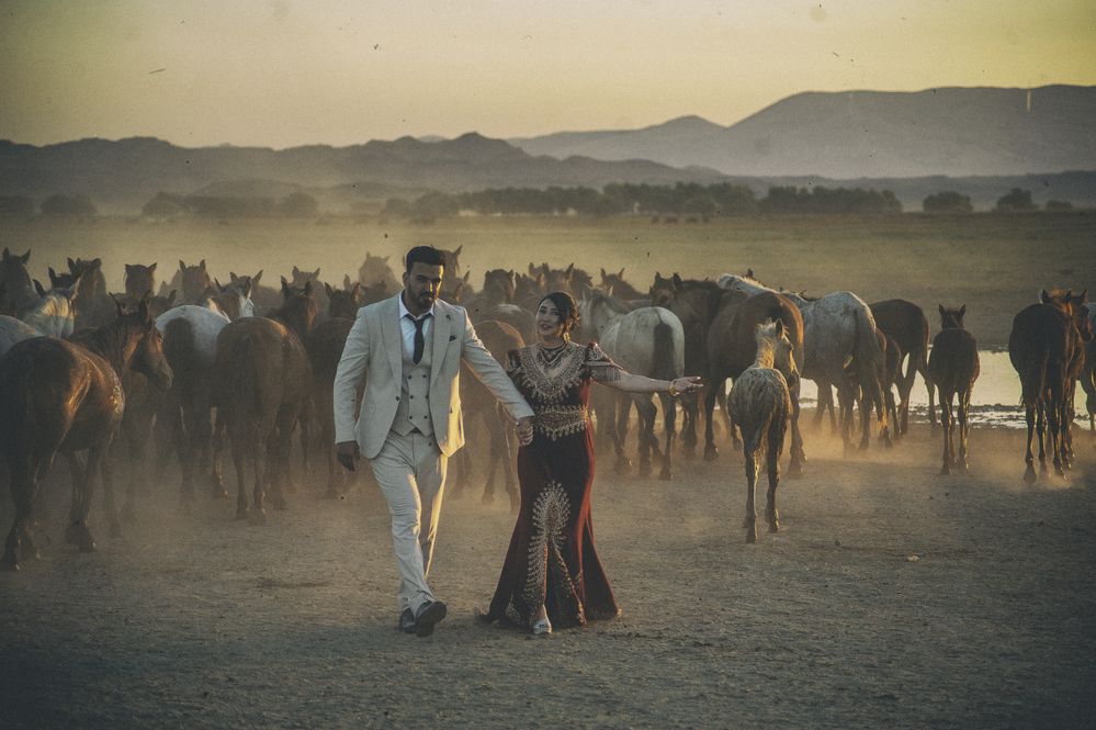 Photograph by DAMOUN POURNEMATI