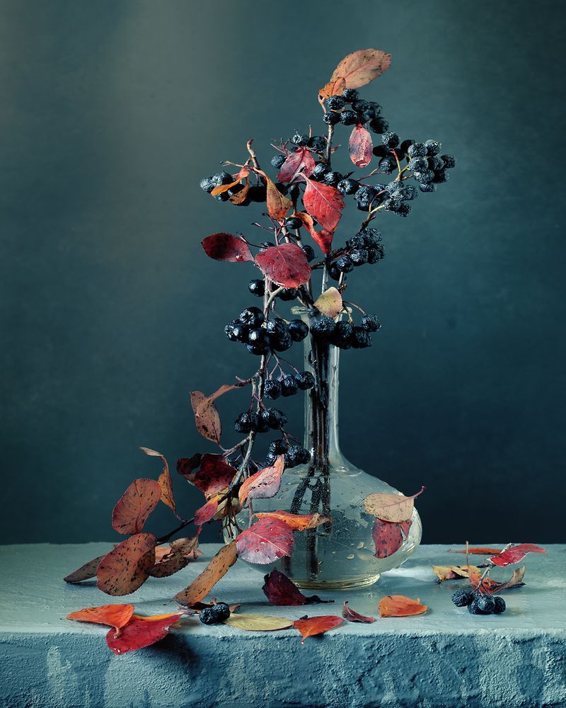 Этюд сосенней  веткой