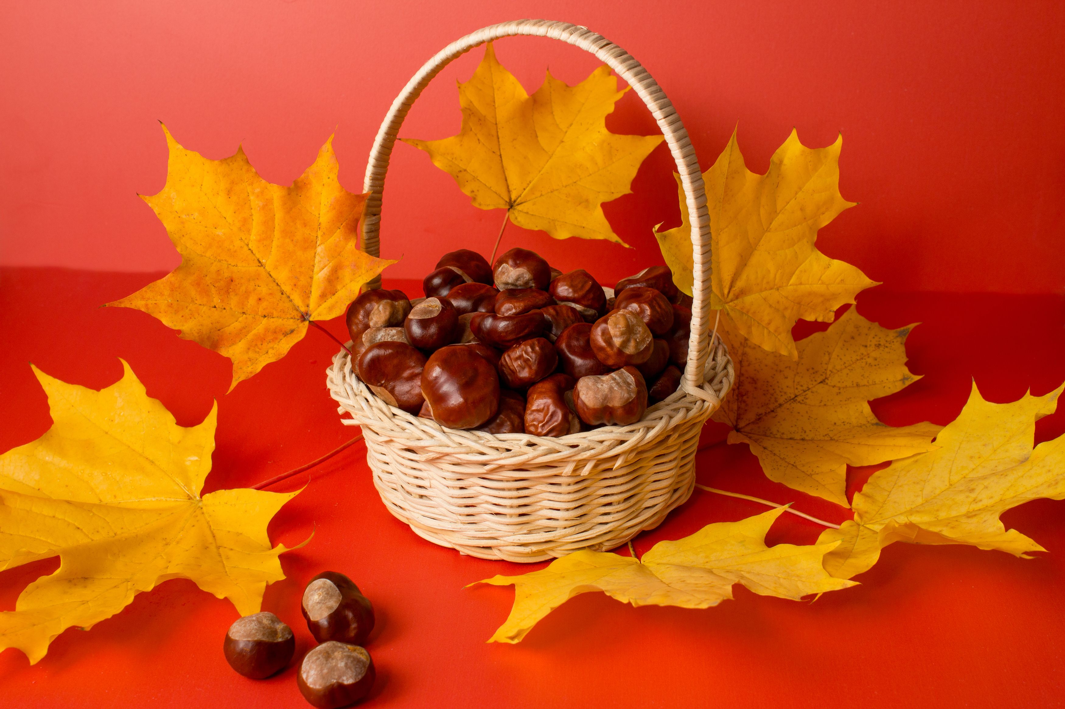 Photograph by Ирина Савостикова