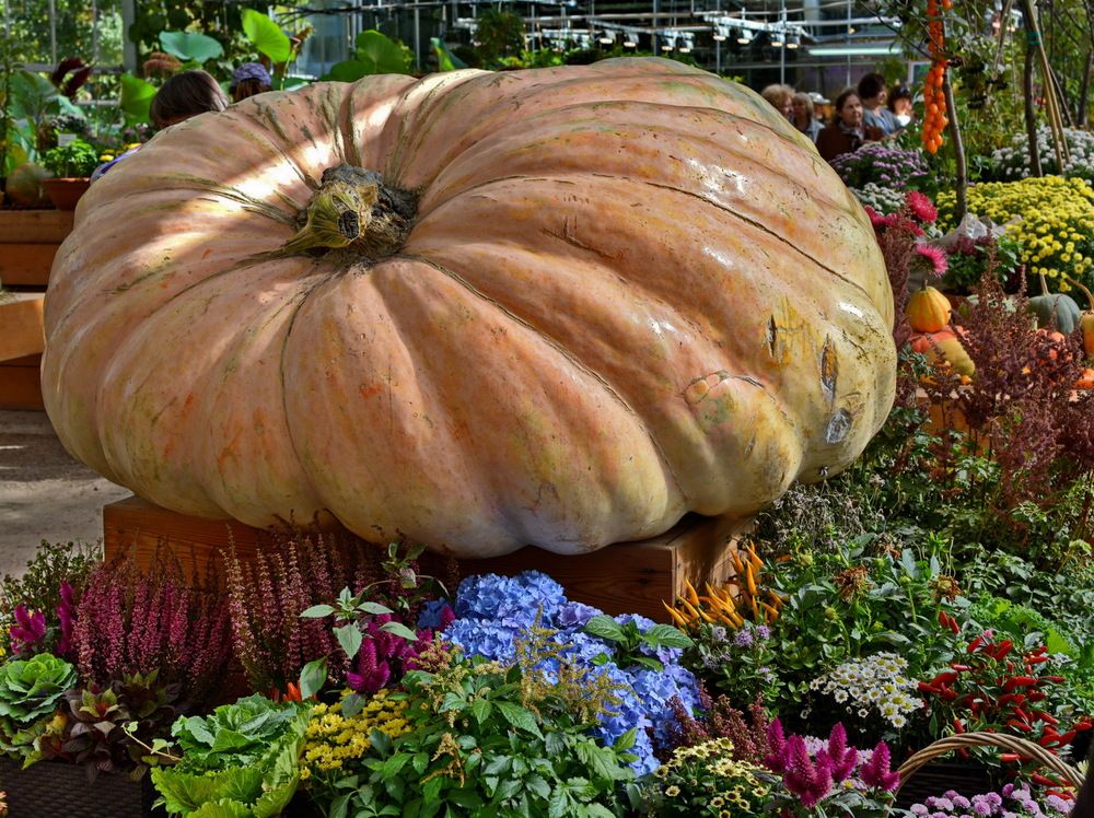 Photograph by Анастасия Смирнова