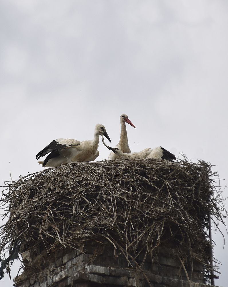 Photograph by Alexandra Ivanova
