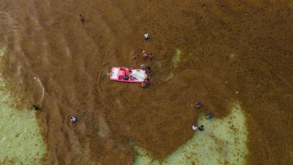 Photograph by Eddy Vittini