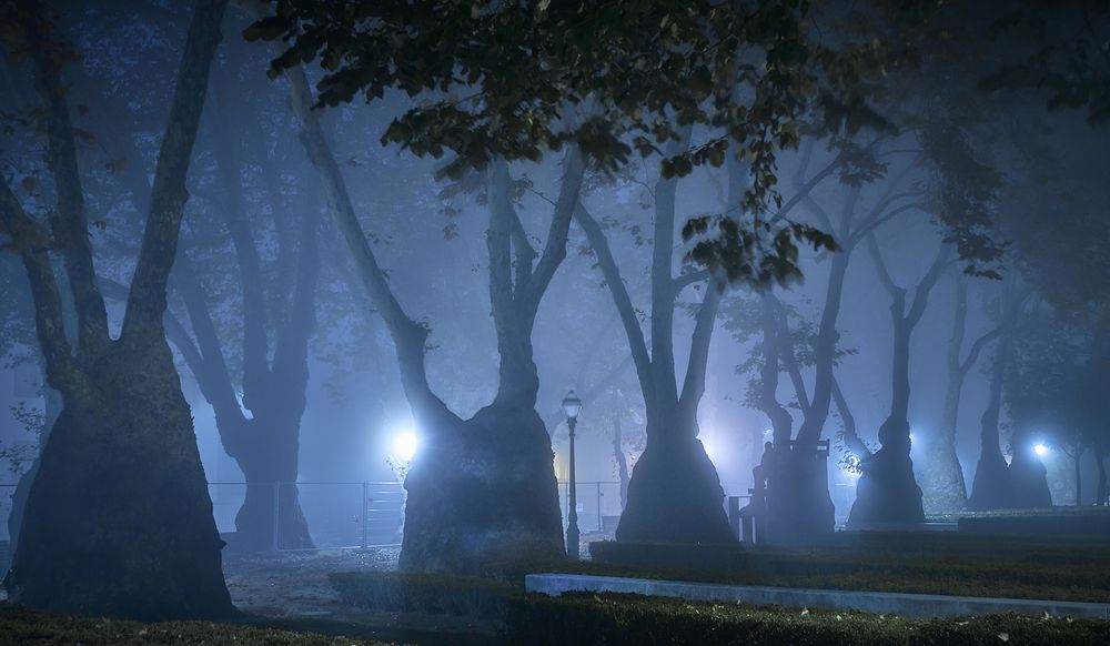 Photograph by Boris Bekelman