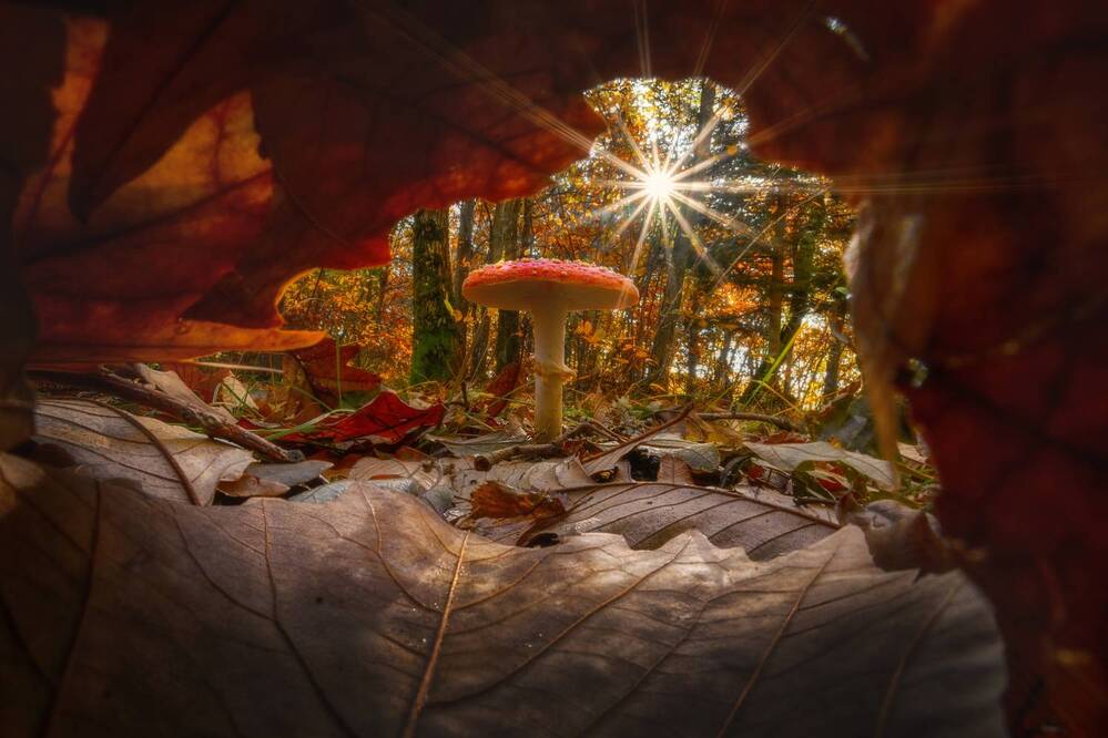 Photograph by Sara Jazbar