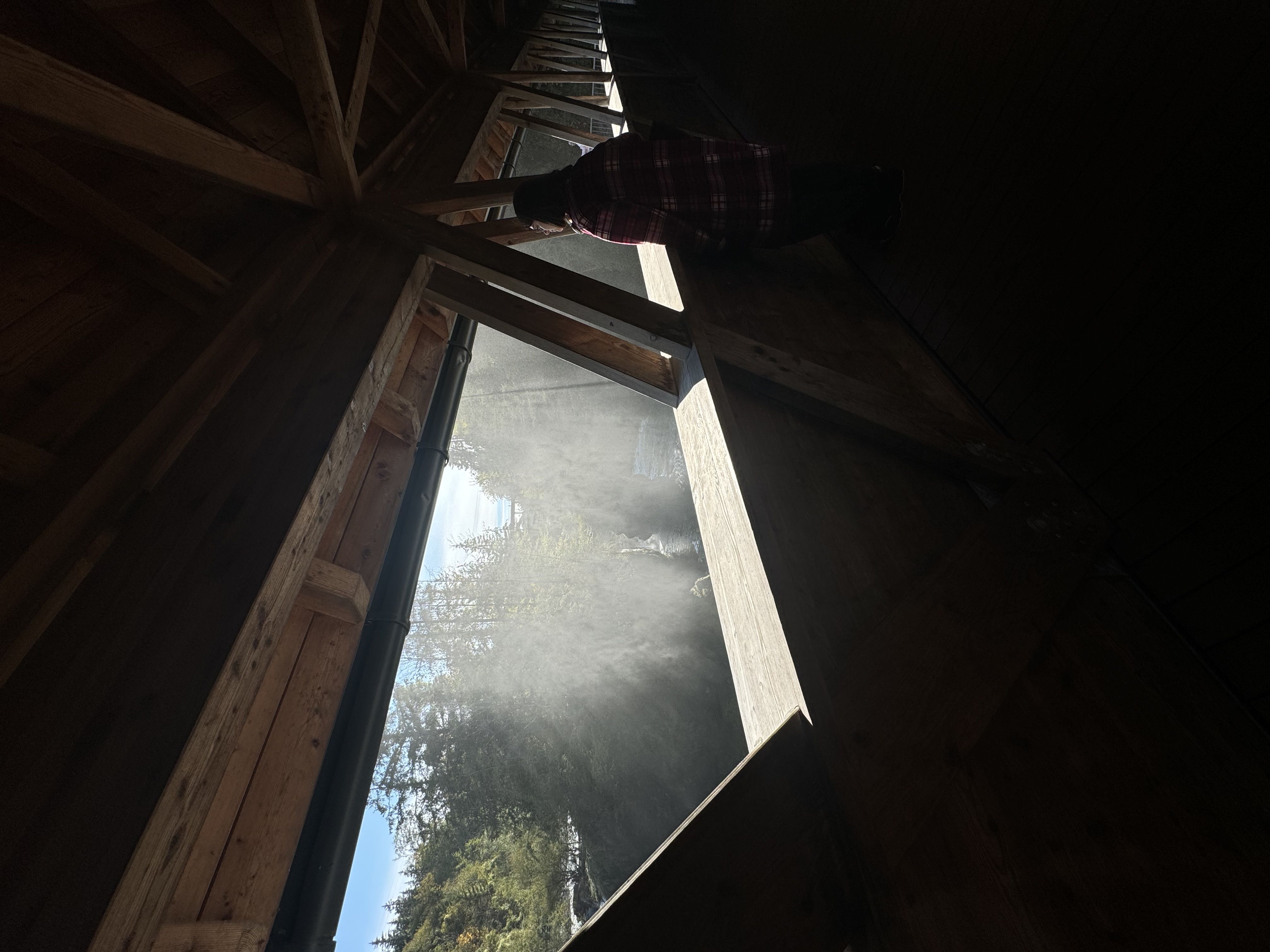 Фотография автора Albina Vaniyants