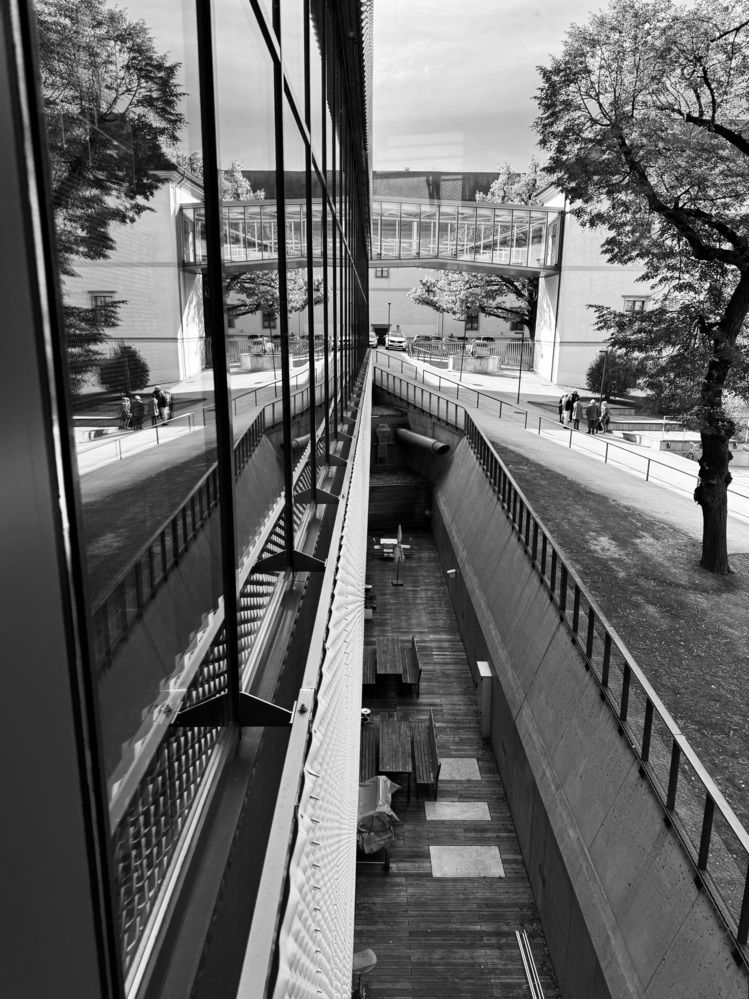 Фотография автора Albina Vaniyants