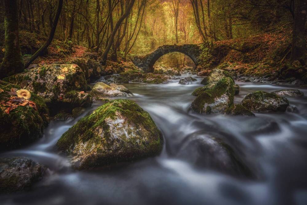 Photograph by Sara Jazbar