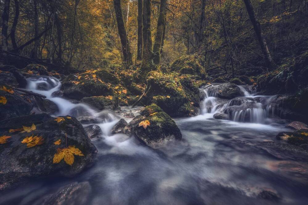 Photograph by Sara Jazbar