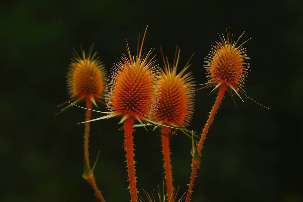 Photograph by Ясинский Константин