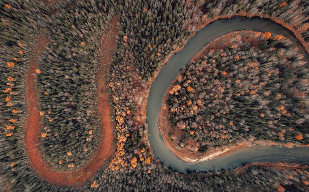 Photograph by Vladislav Trushkov