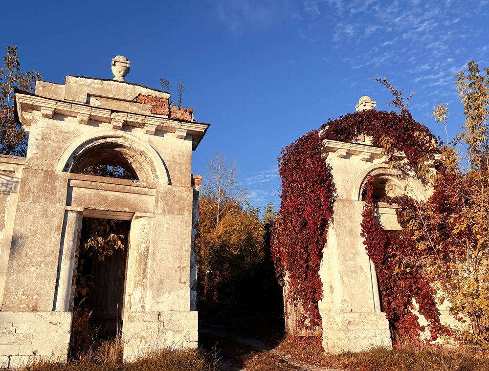 Фотография автора Тамара Звирановская