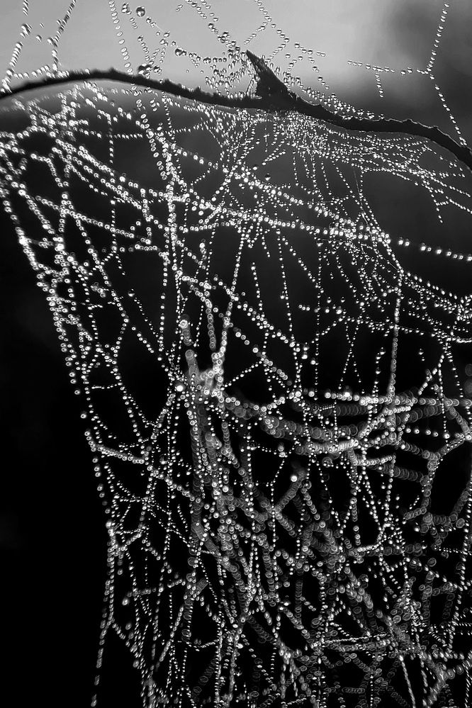 Photograph by Егор Жук