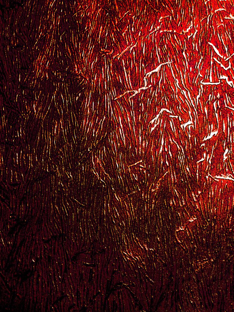 Photograph by Михаил Еремеев